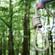 iStock